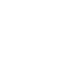 Profile image of 이안