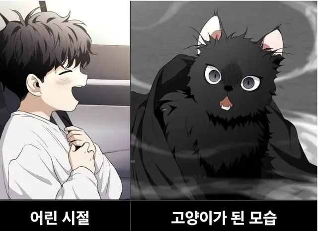 Profile image of 권용진