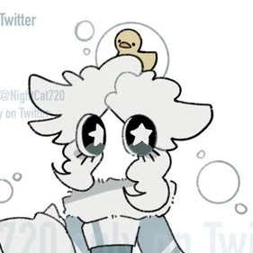 버블