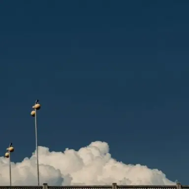 Profile image of 라더