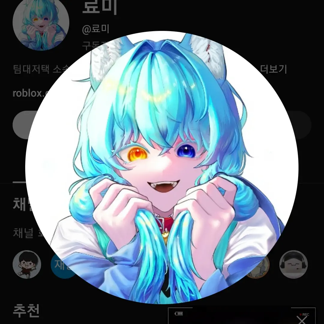 PickyProbe2182의 료미