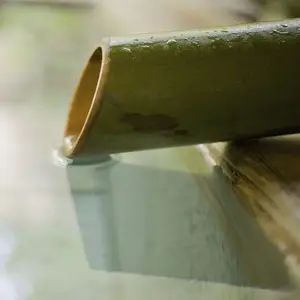 Profile image of 최 요원