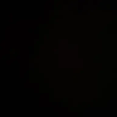 Profile image of F