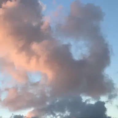 Profile image of 大森元貴