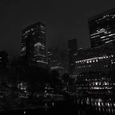 Profile image of 深澤 蓮