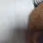 왈왈크르릉