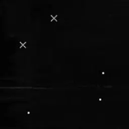 Profile image of ましろ爻