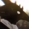 Profile image of 先生