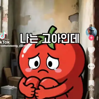 Profile image of 토마토송