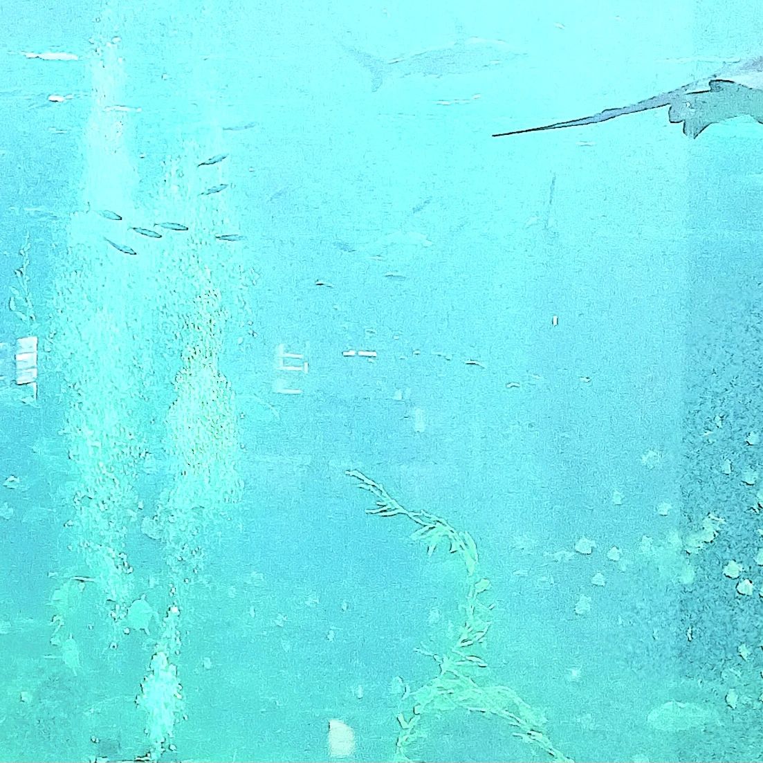 뜰팁 학교.