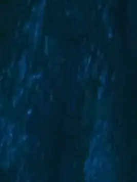 pacificsaury의 悪魔