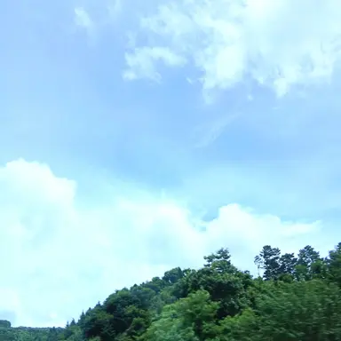 Profile image of 칸나
