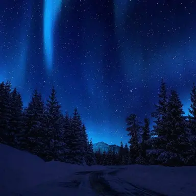 Profile image of 星導ショウ