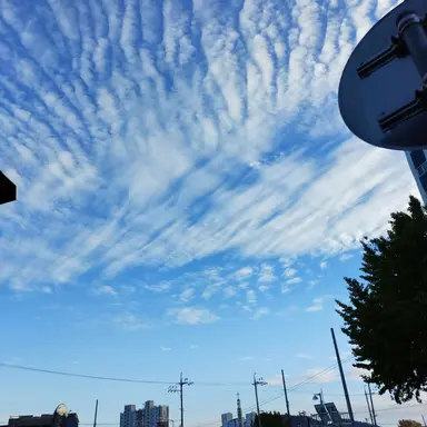 Profile image of 각별