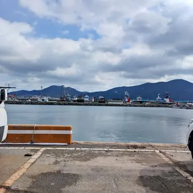 Profile image of 라더