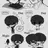 유재우