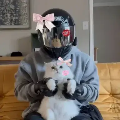 Profile image of Cyclegroover