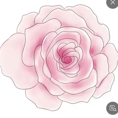 Profile image of 이라엘라 아르헨