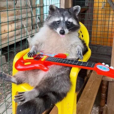 Profile image of 마샤