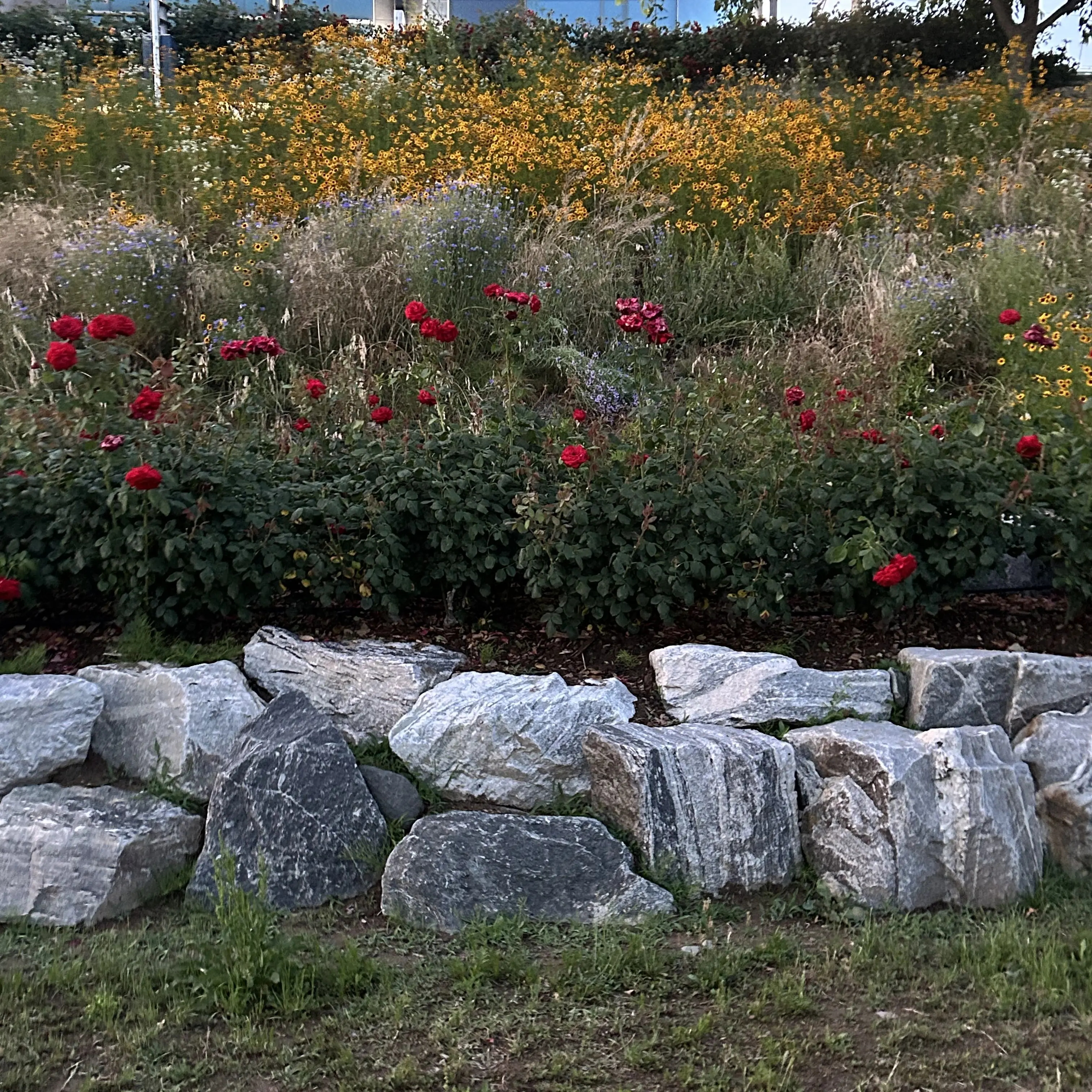 SnowyShirt0404의 성화 약국