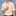 김도영