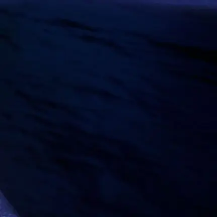 FluidLife6542의 誘拐