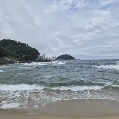 Profile image of 평학