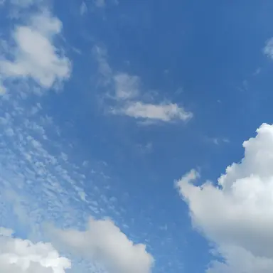 Profile image of 오뉴