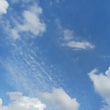 Profile image of 잭