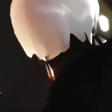 Profile image of マッシュ