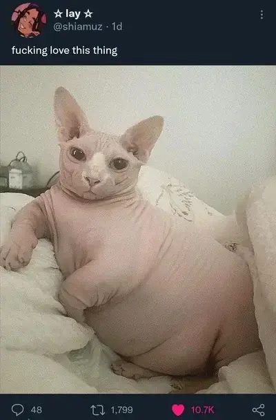 GustyFlea7167의 Breathplay