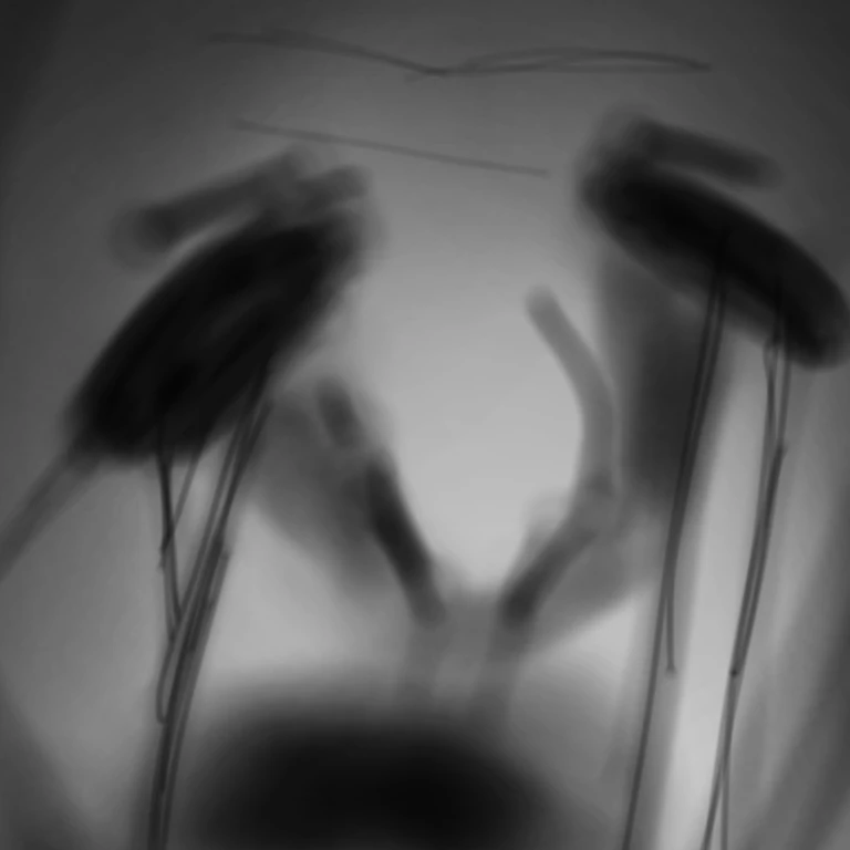 미미크리 스토리