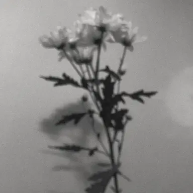 Profile image of 유지민