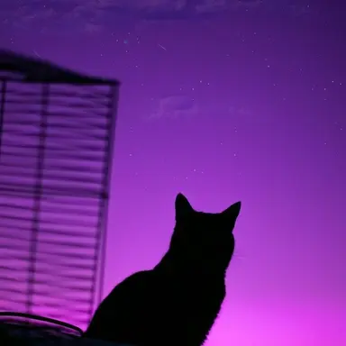 Profile image of 수현