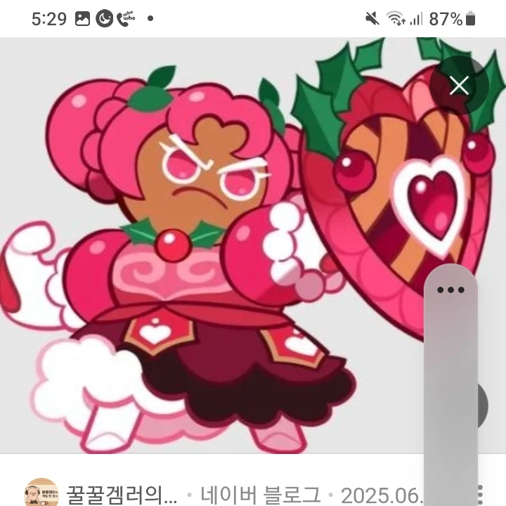 홀리베리