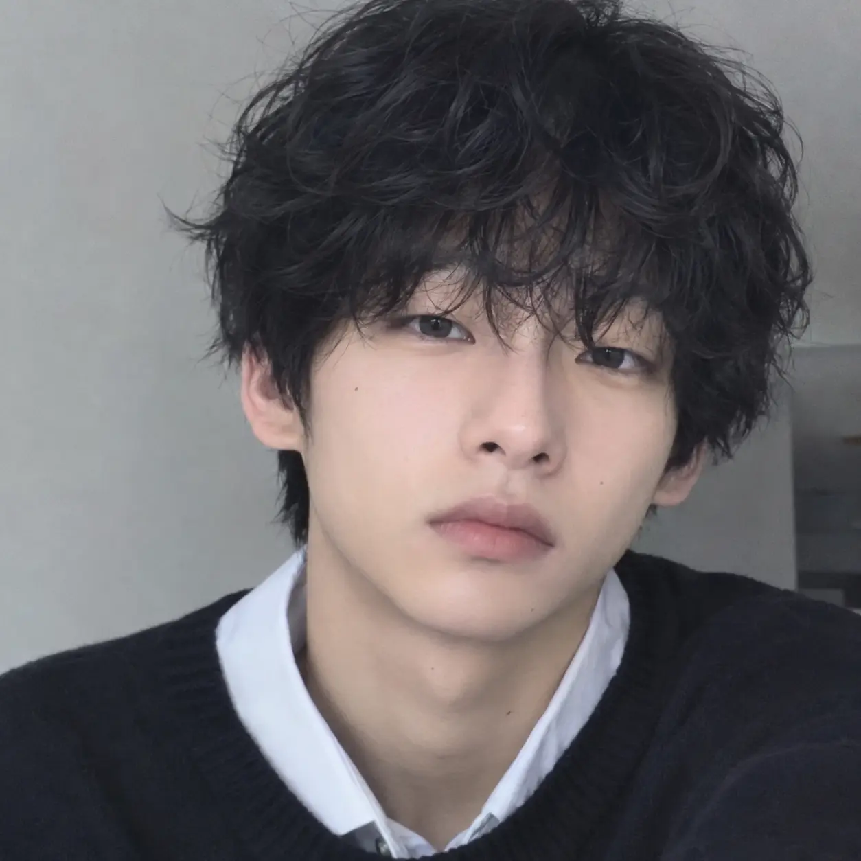 RealSoup8163의 私だけのペット🐾