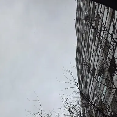 Profile image of 세라