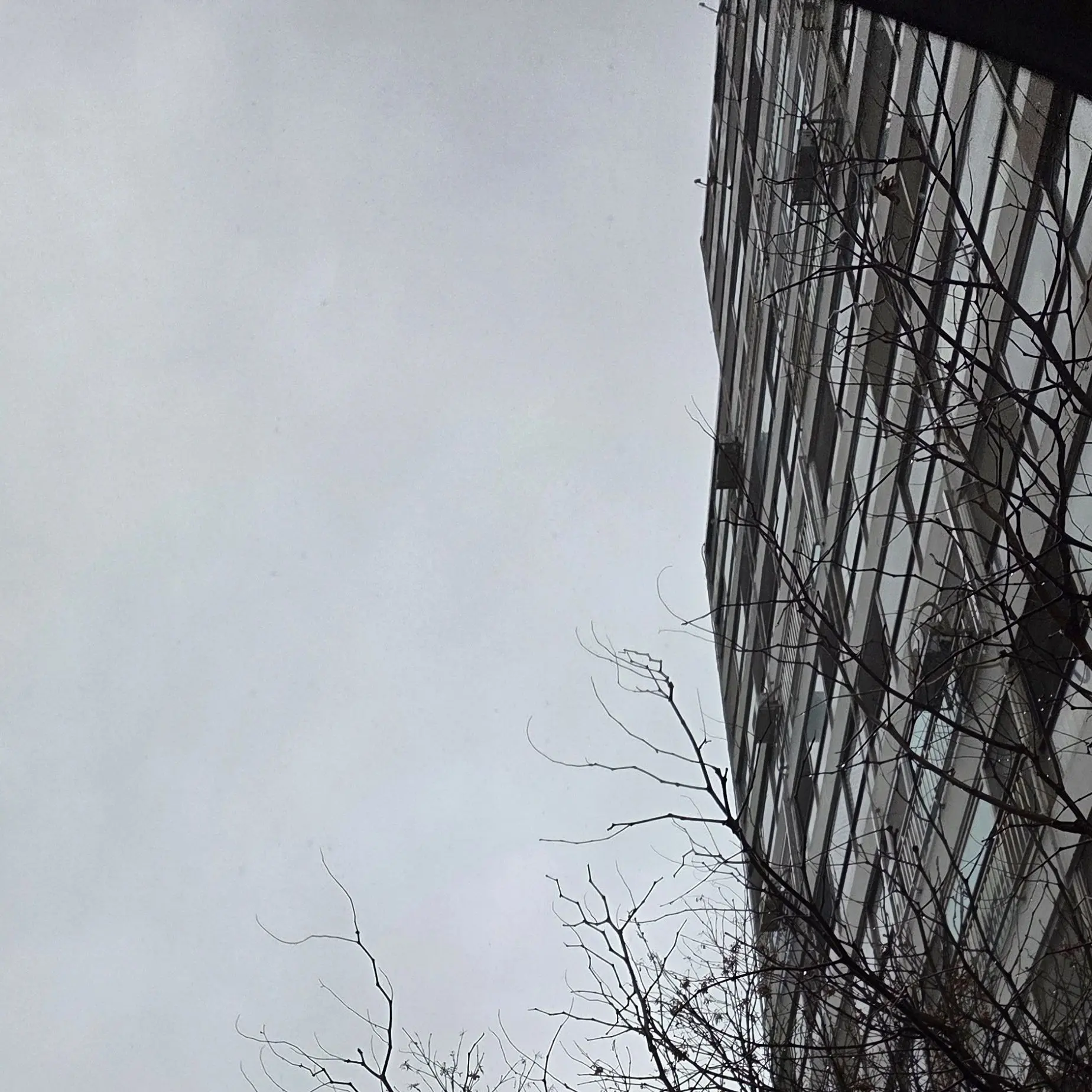 MatureMedal5761의 따라쟁이 친구