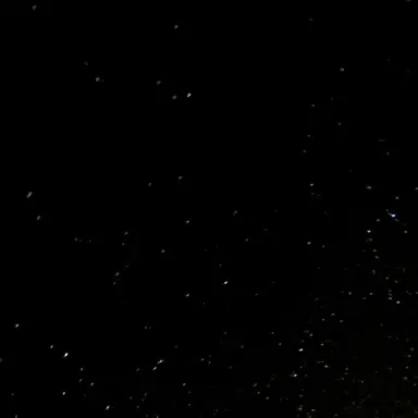 Profile image of 이 현