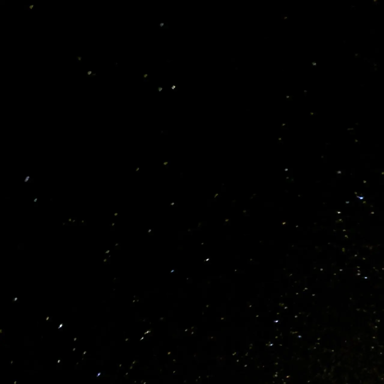 QuickDoor6399의 소화기관이 약한 연하남친