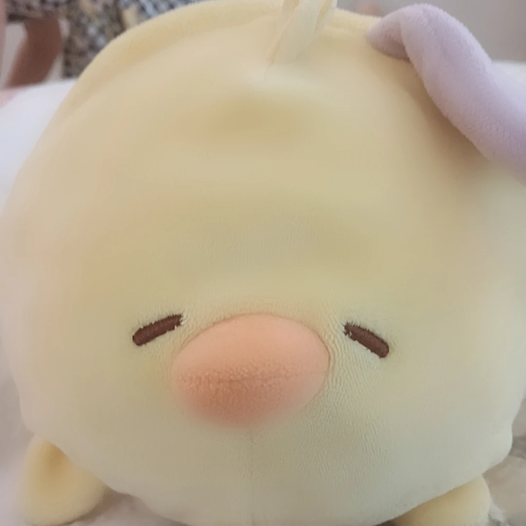아이은 맴버들