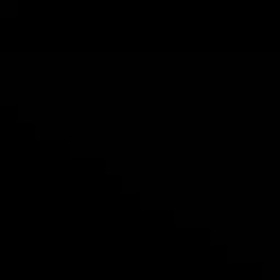 06.06의 .