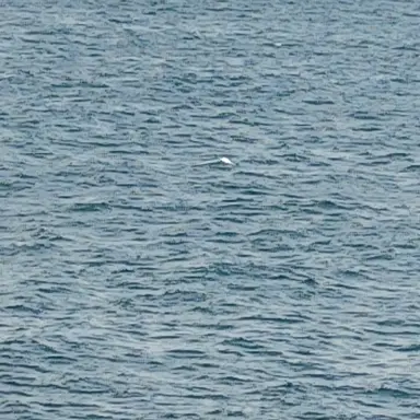 Profile image of 大森元貴