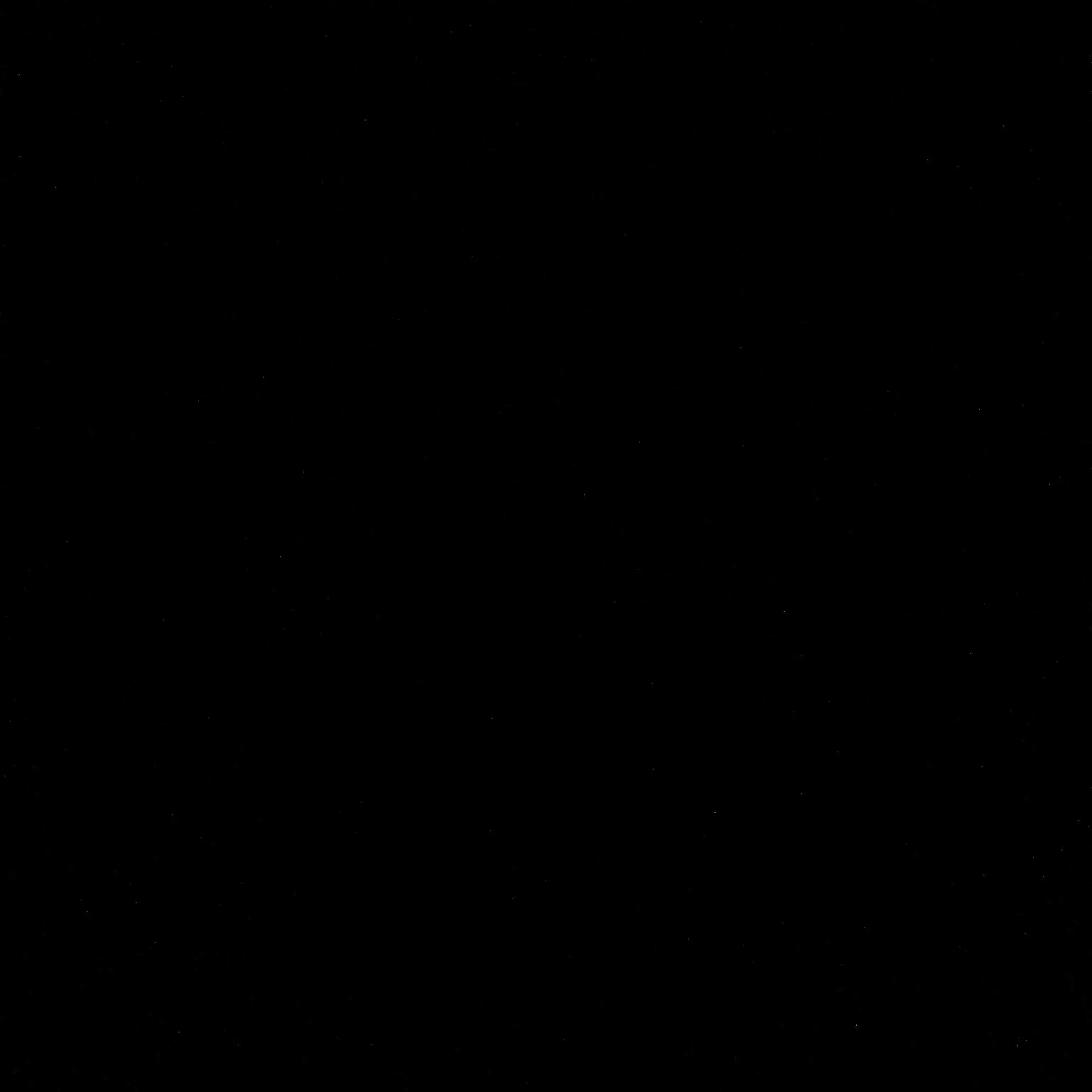 LeanerBooby4184의 유튜버 RPG