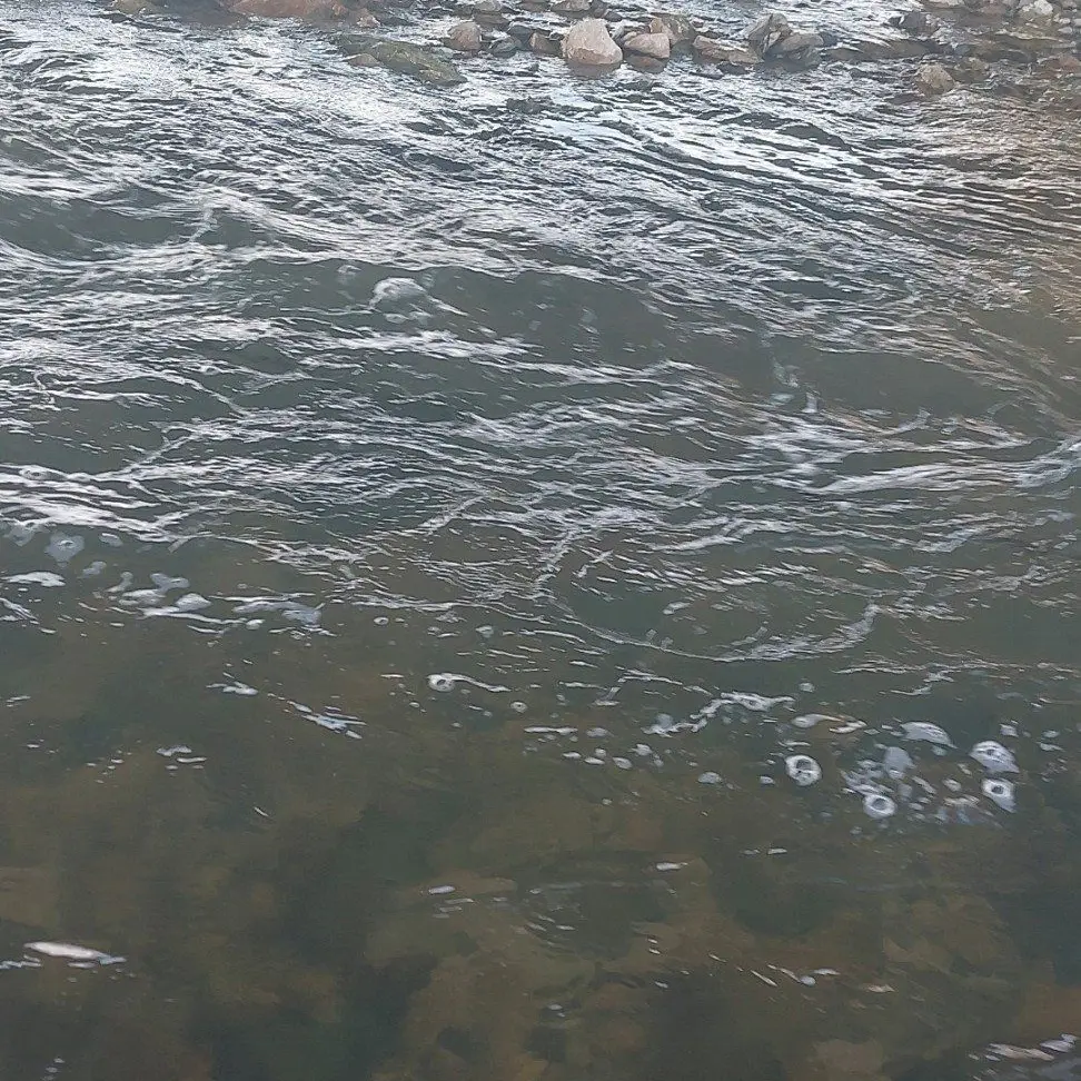 NeatGolf5737의 DES MY