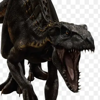 Profile image of 인도랩터