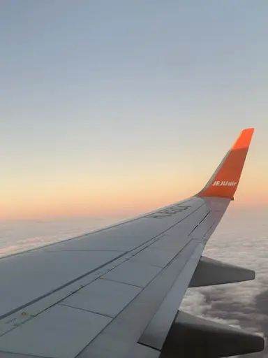 Profile image of 여우