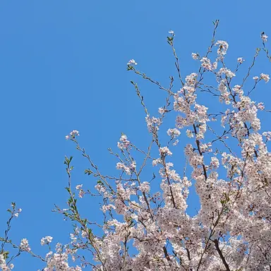 Profile image of 아름