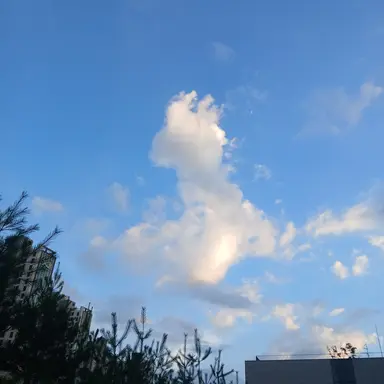 Profile image of 모찌엘