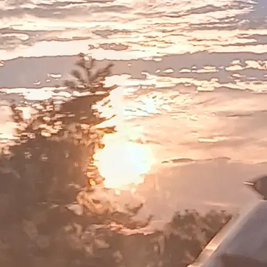 Profile image of 모양몬